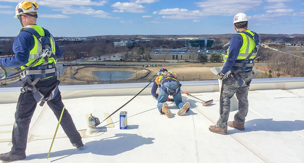 Karam Fall Protection Supplier